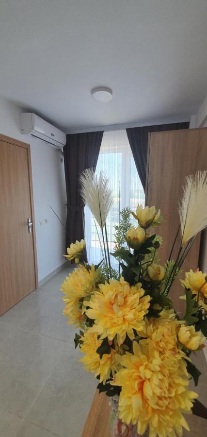 Ema Hotel Vama Veche Ngoại thất bức ảnh